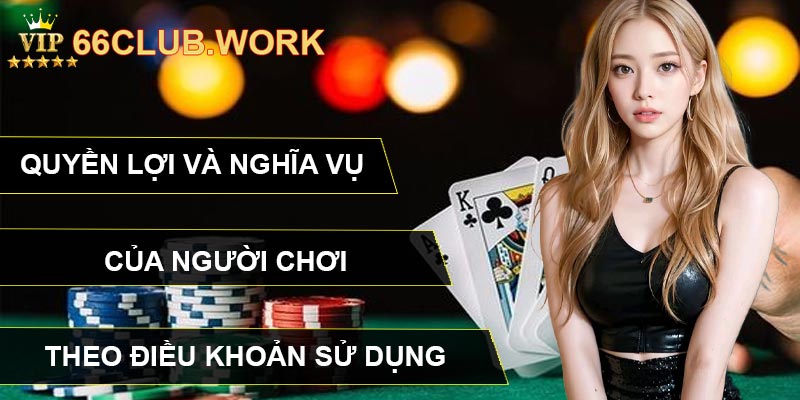 Quyền lợi và nghĩa vụ của người chơi theo điều khoản sử dụng