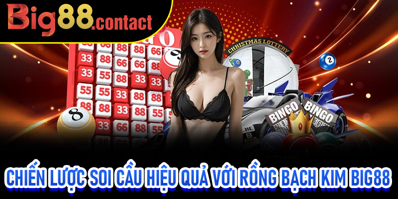 Chiến Lược Soi Cầu Hiệu Quả Với Rồng Bạch Kim Big88