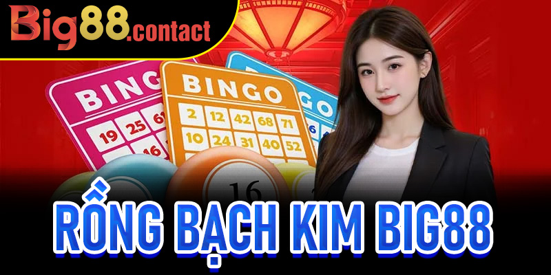 Rồng Bạch Kim Big88