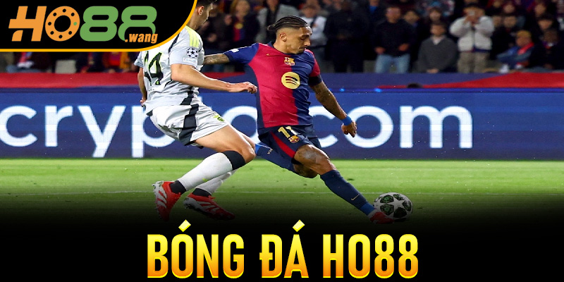  Kèo Thẻ Phạt Ho88