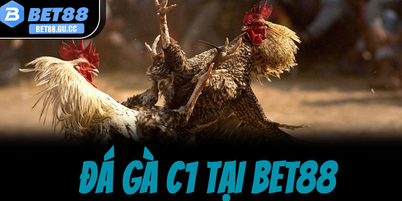 Hướng dẫn tham gia cá cược đá gà C1 tại bet88 nhanh chóng