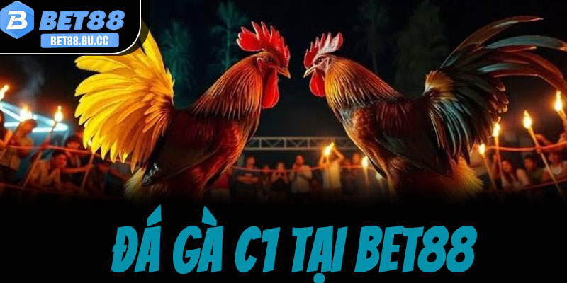 Xem đá gà C1 tại bet88 - Đấu trường đỉnh cao, kèo thơm mỗi ngày